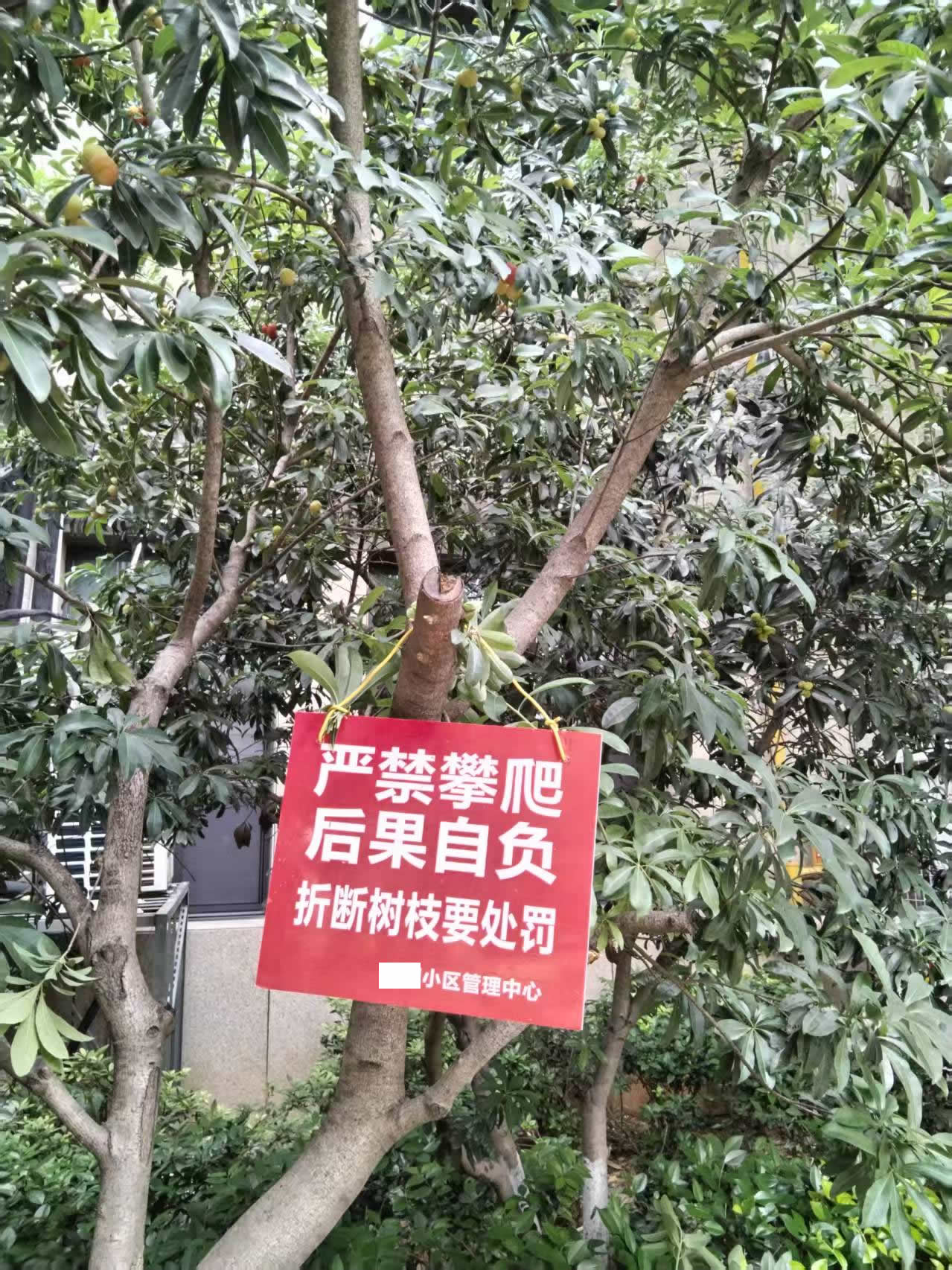 物业你是服务性质的！