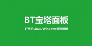宝塔v11.0.0感觉一下子变成关怀版了