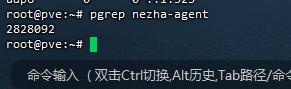 QQ截图20250314194344.png